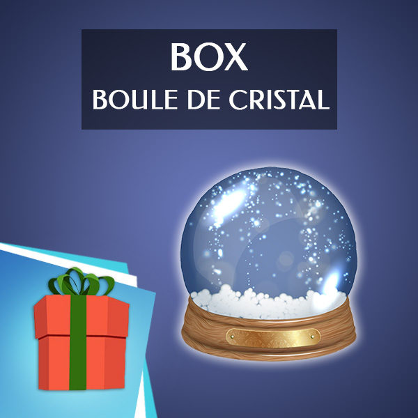 Box Boule de Cristal (visualisation - 2h)