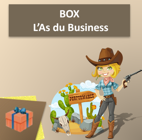 Box L'as du Business (10 coachings pour maitriser la vente complexe)